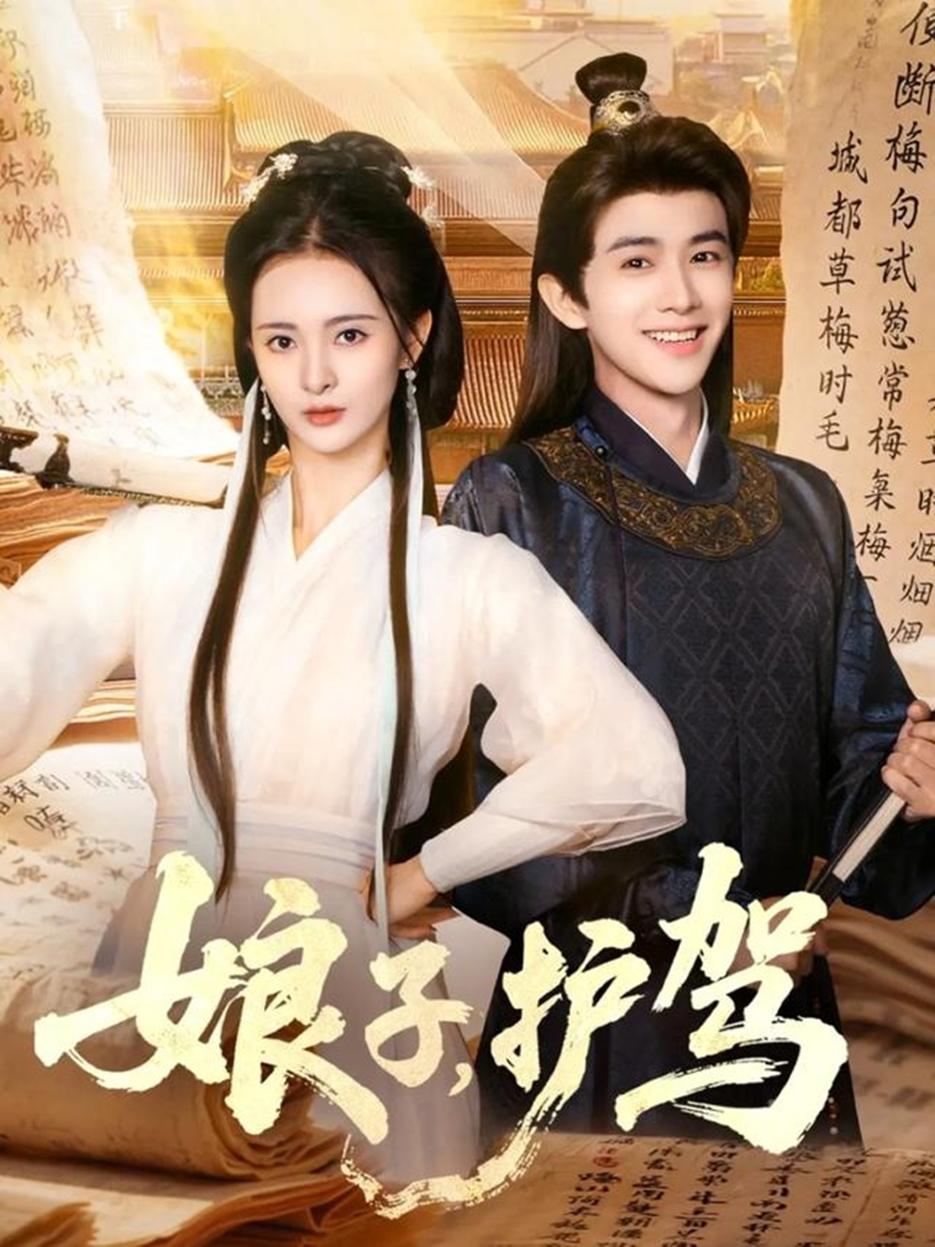 娘子护驾海报