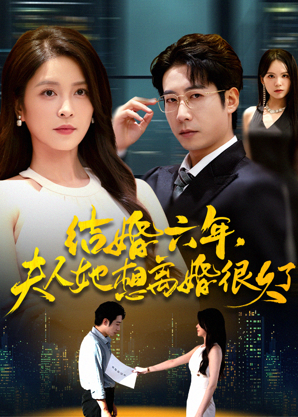 结婚六年夫人她想离婚很久了海报