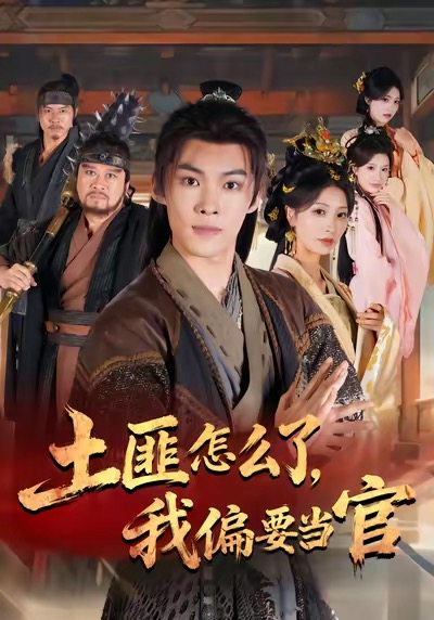 土匪怎么了，我偏要当官海报