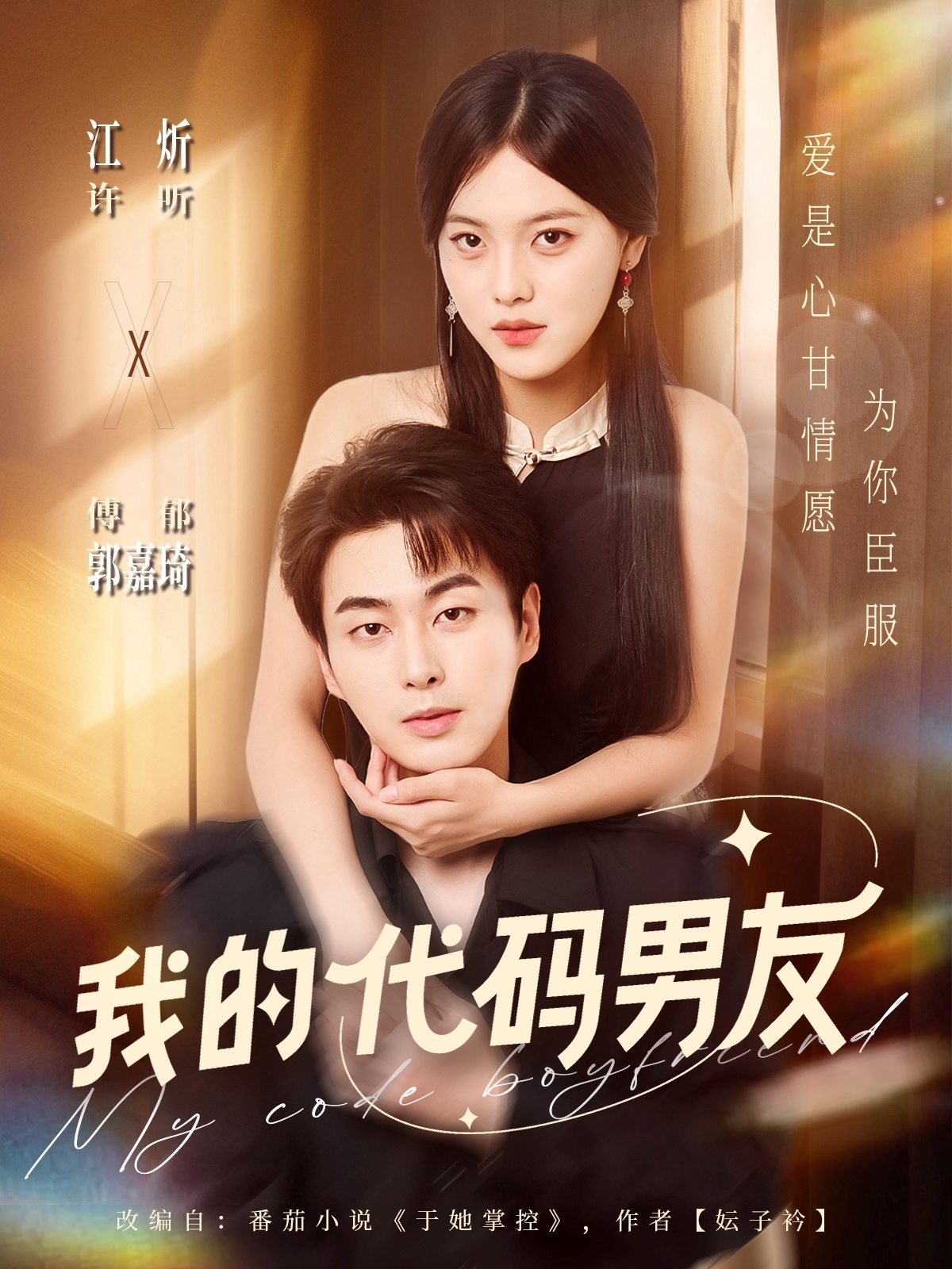 我的代码男友海报
