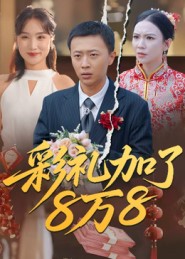 彩礼加了8万8海报