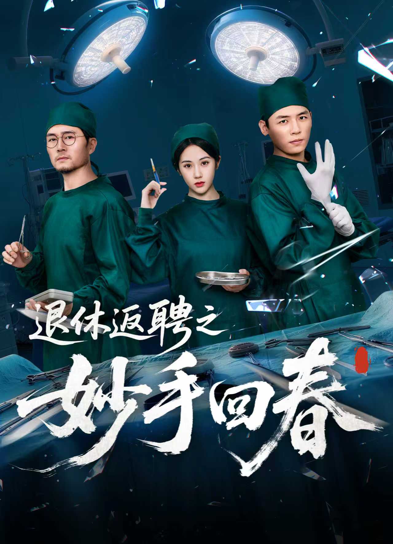 退休返聘之妙手回春海报