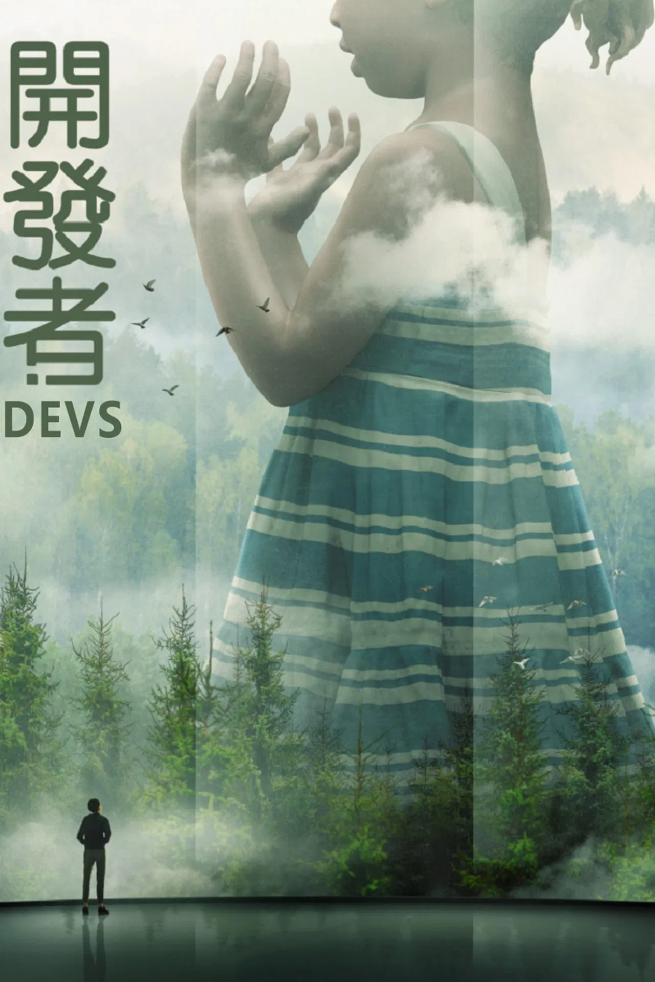 开发者海报