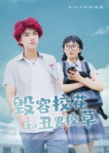 毁容校花和丑男校草海报