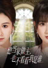 想当家做主，也不看看我是谁海报
