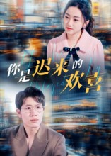 你是迟来的欢喜海报