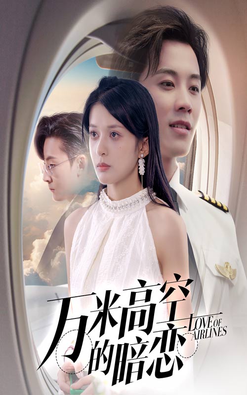 万米高空的暗恋海报