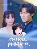 领结婚证附赠萌娃一枚海报