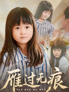雁过无痕海报