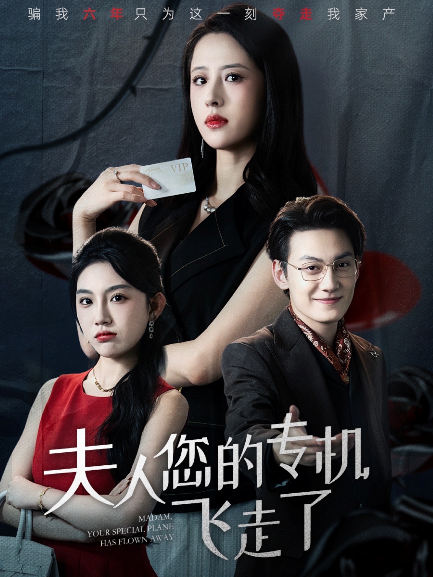 夫人您的专机飞走了海报