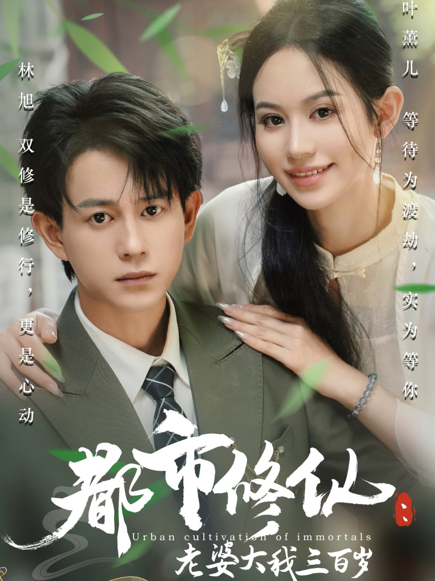 都市修仙老婆大我三百岁海报