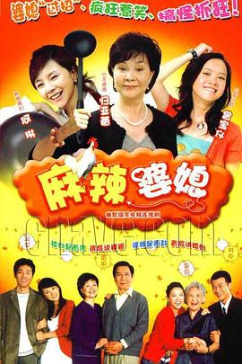 麻辣婆媳[电影解说]海报