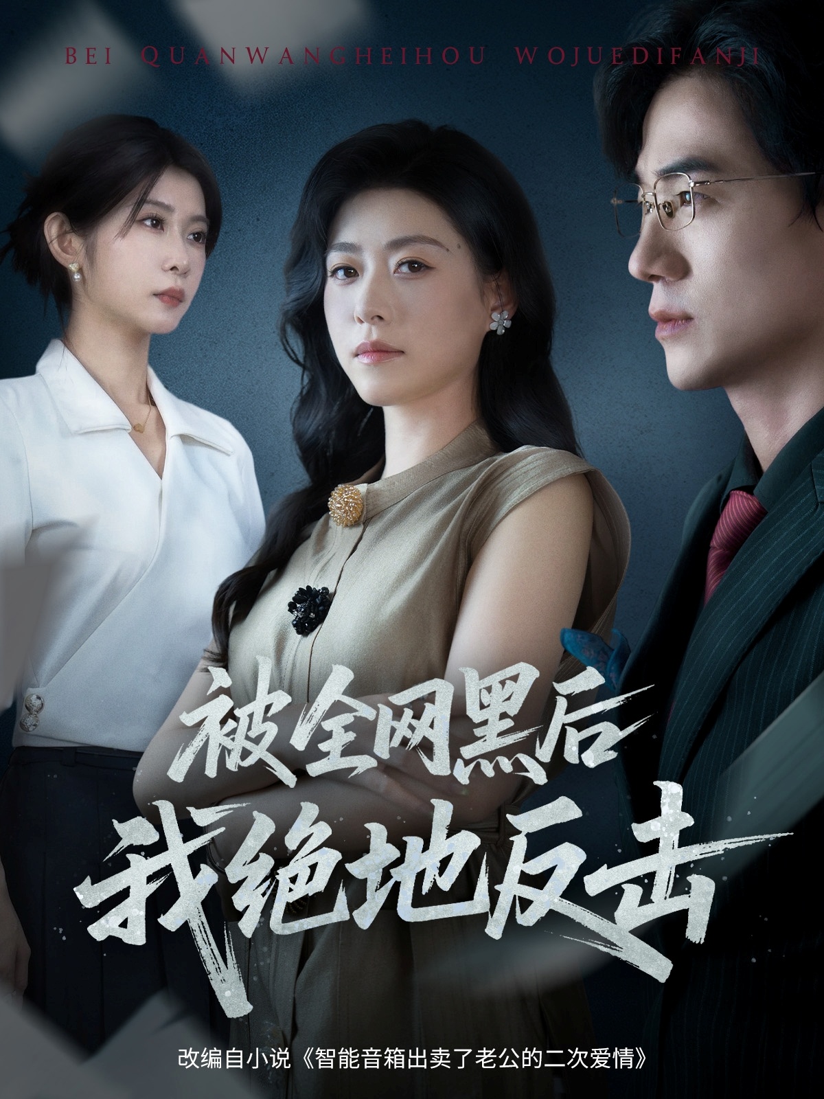 被全网黑后我绝地反击海报