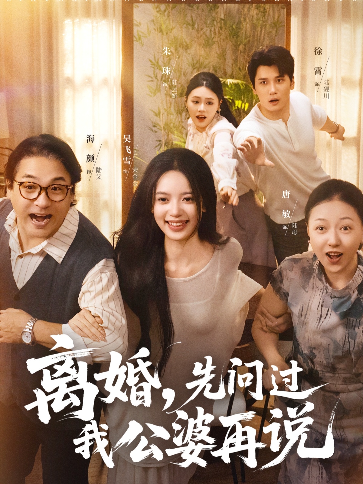 离婚先问过我公婆再说海报