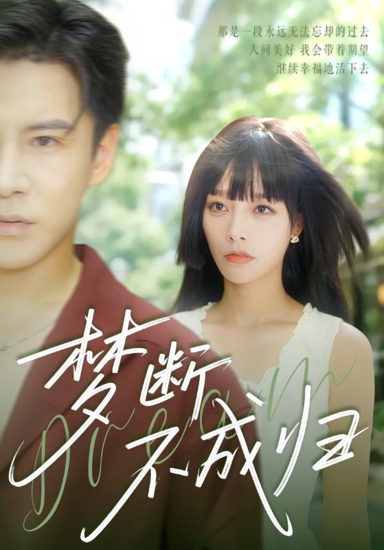 梦断不成归海报