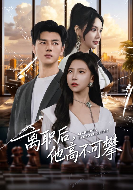 离职后，他高不可攀海报
