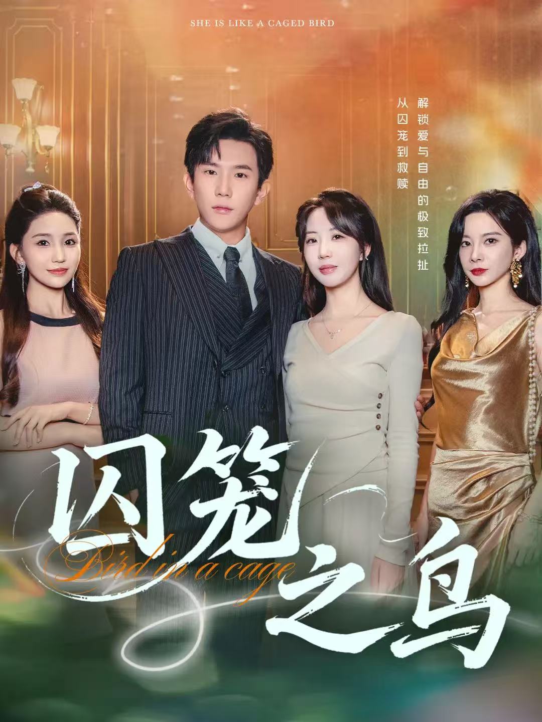 囚笼之鸟海报