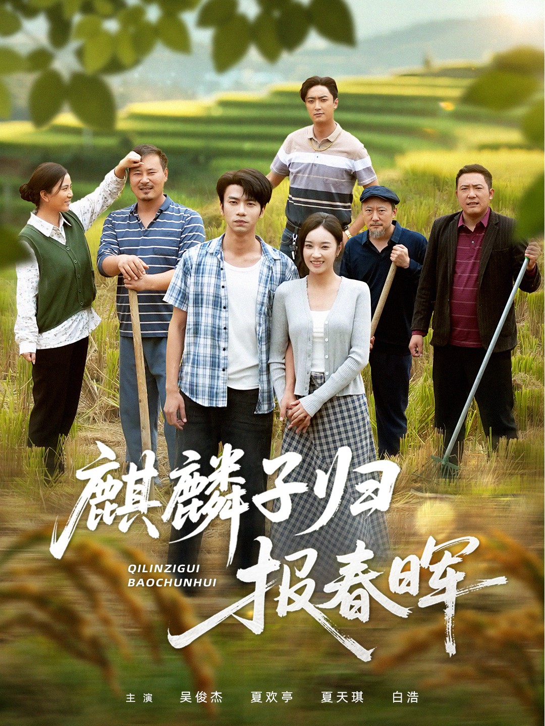 麒麟子归报春晖海报