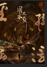 国木无双海报