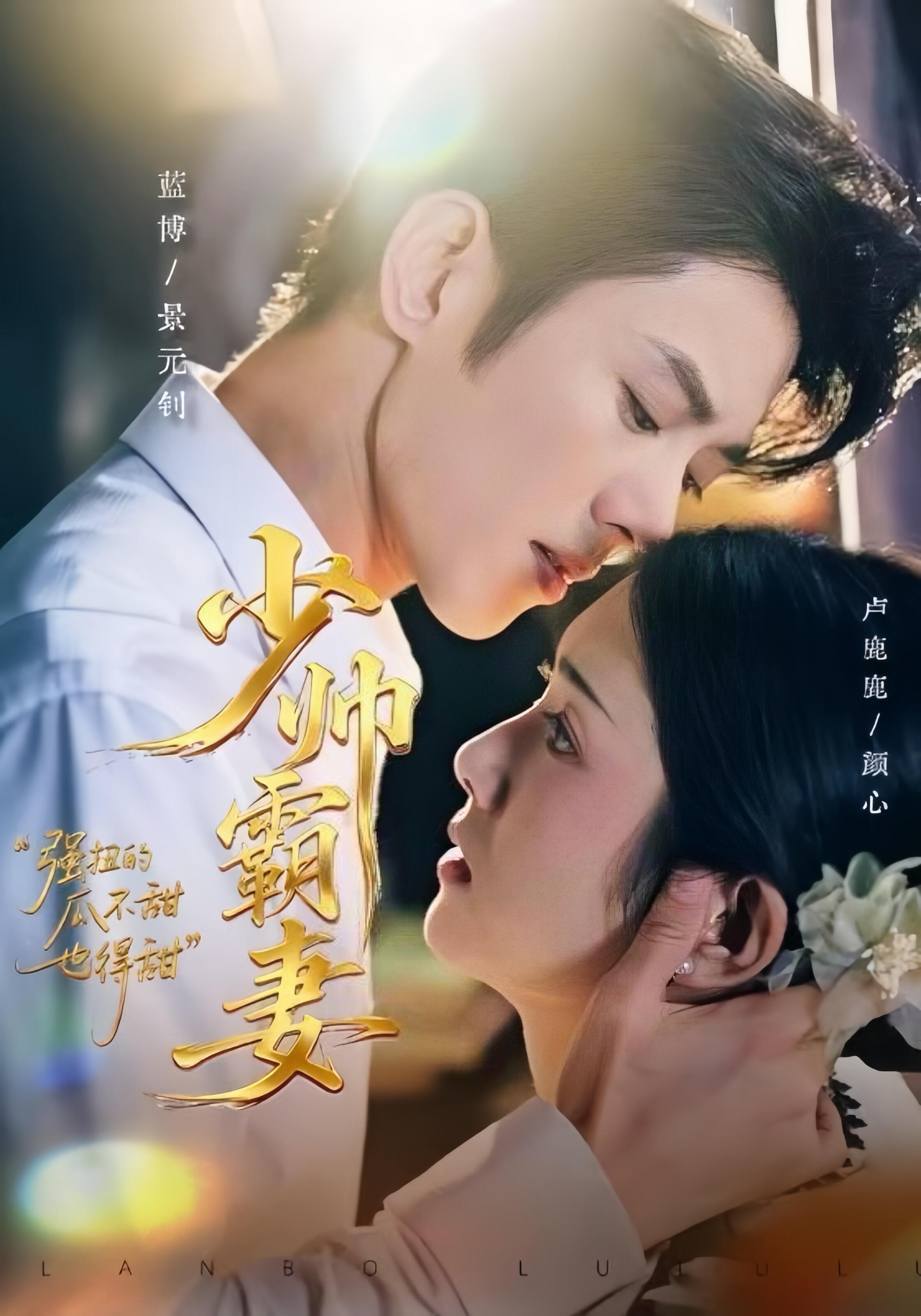少帅霸妻，强扭的瓜不甜也得甜海报