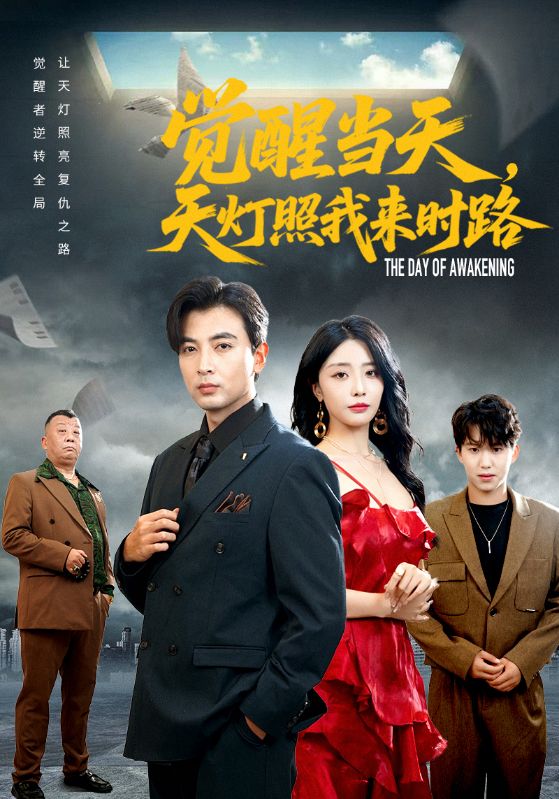觉醒当天天灯照我来时路海报