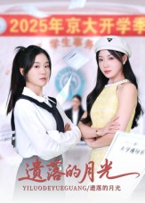 遗落的月光海报