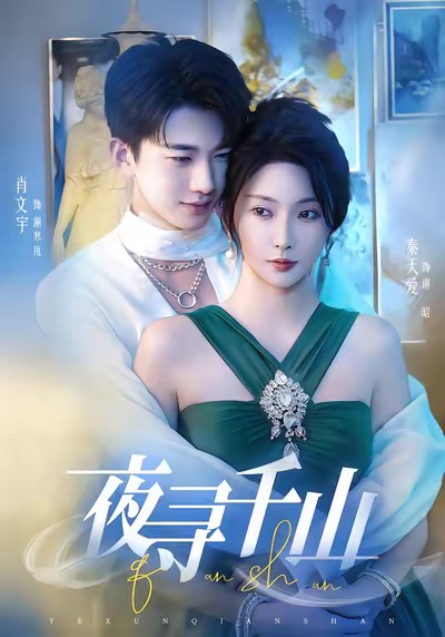 夜寻千山海报
