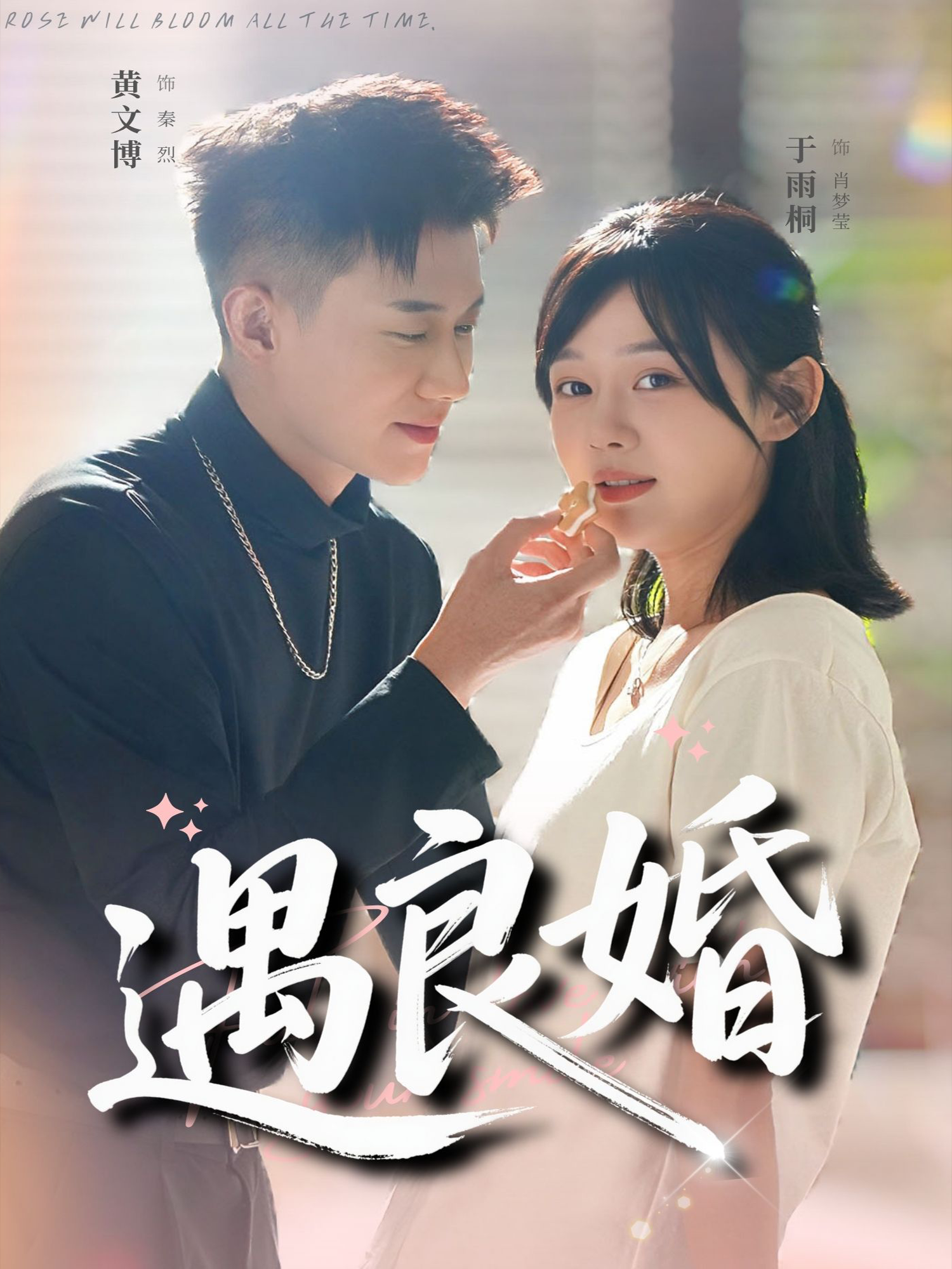 遇良婚海报