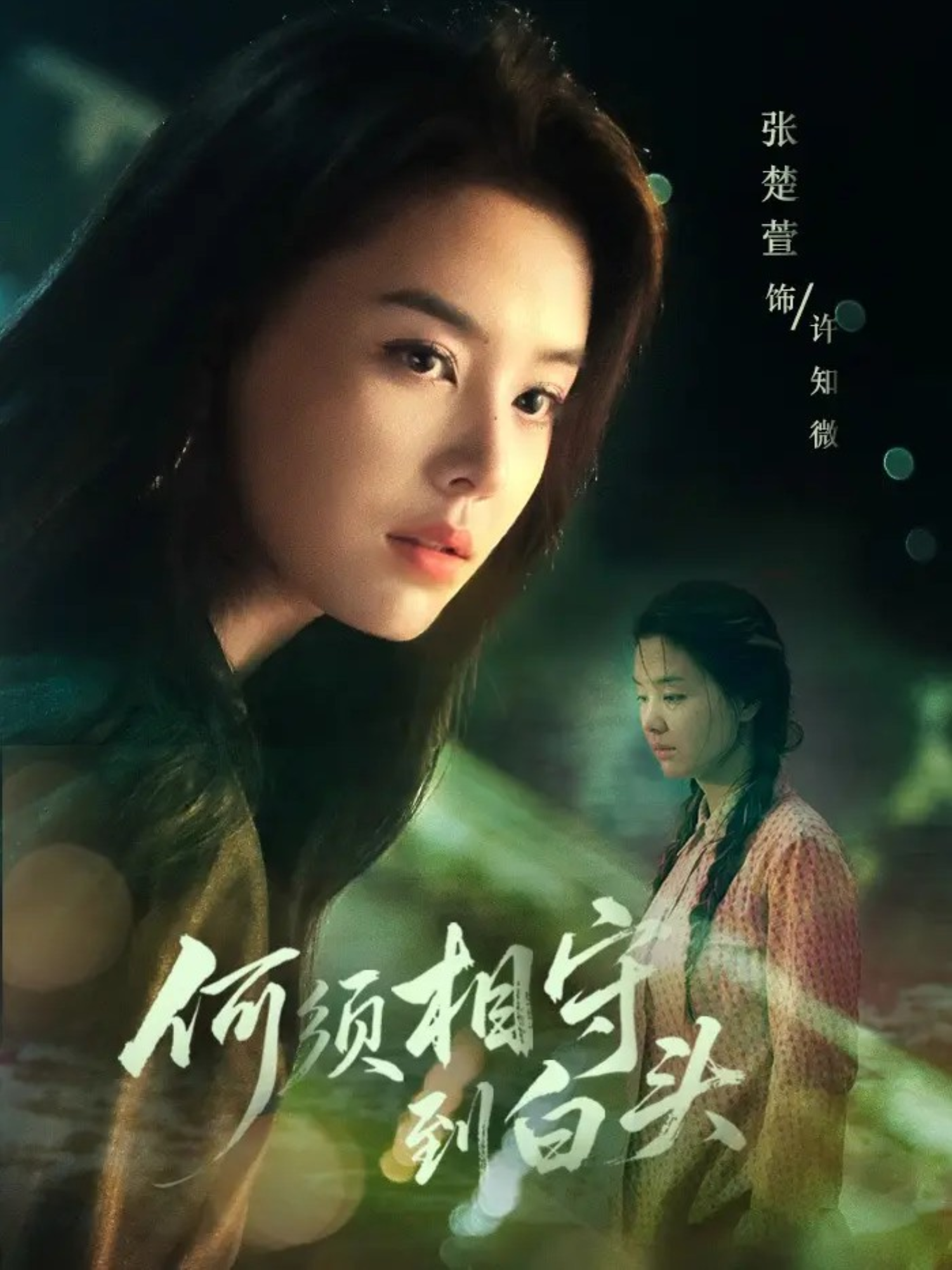 何须相守到白头海报