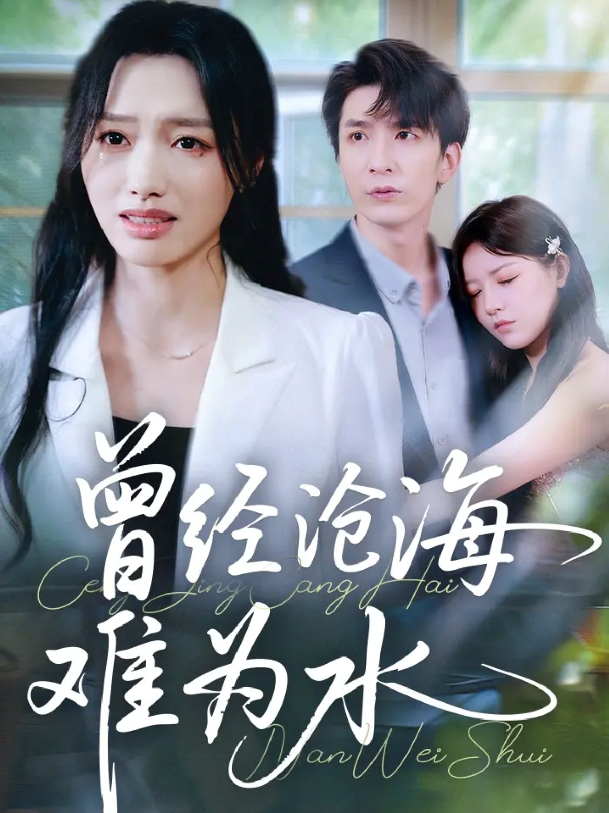 曾经沧海难为水海报