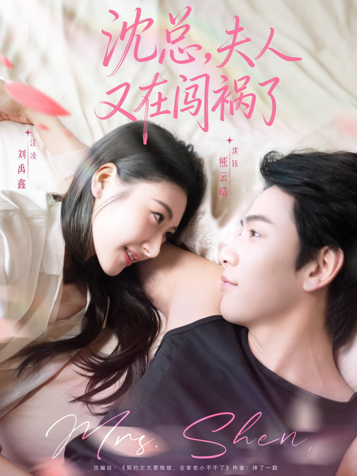 沈总，夫人又在闯祸了海报