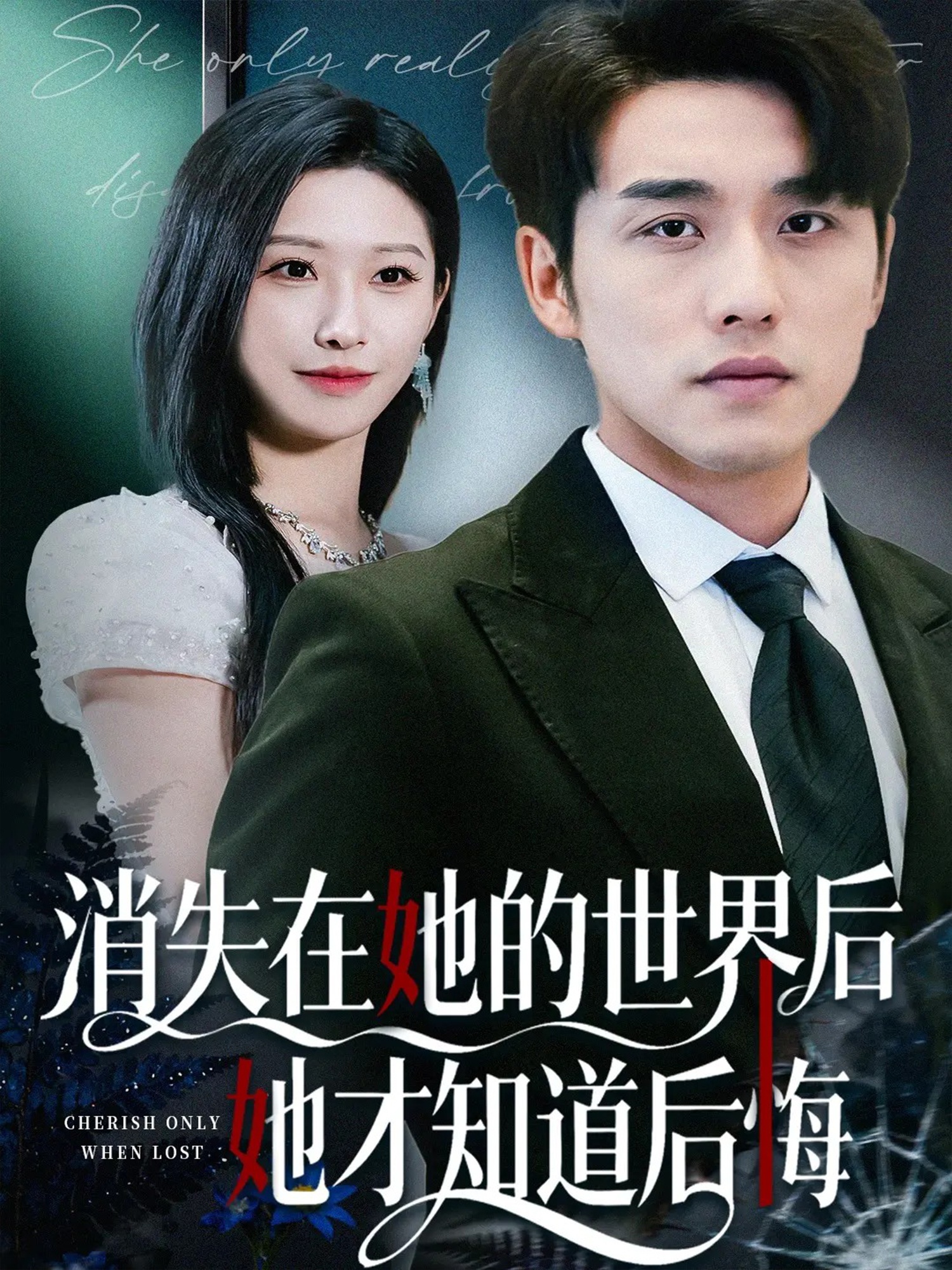 消失在她的世界后她才知道后悔海报