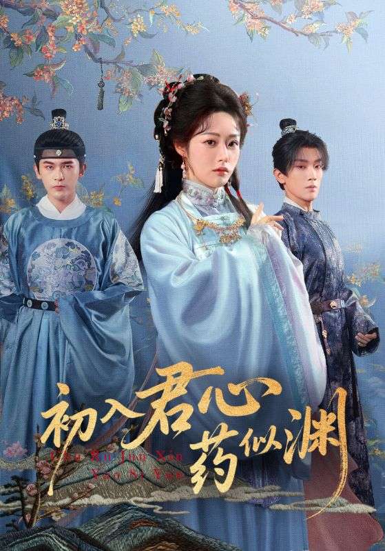 初入君心药似渊海报