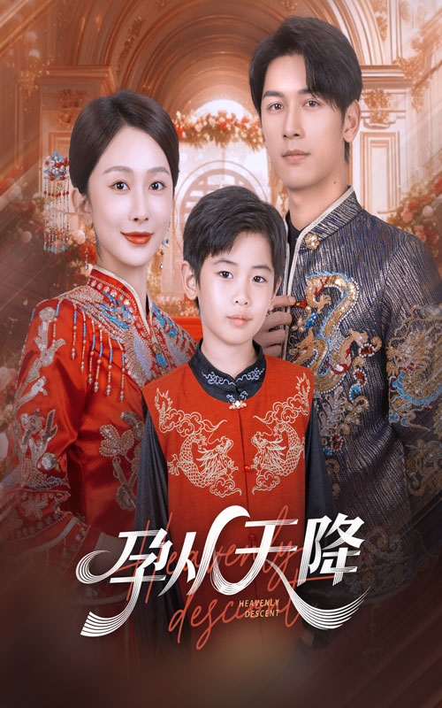 孕从天降海报
