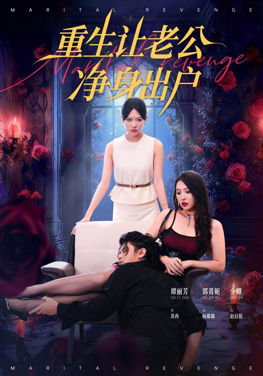 重生让老公净身出户海报