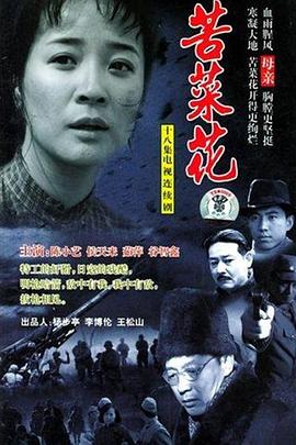 苦菜花2004[电影解说]海报