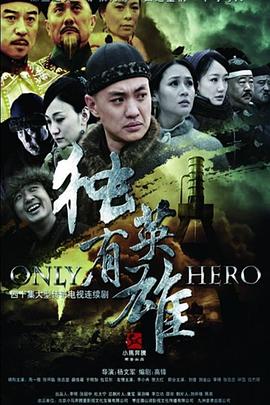 独有英雄[电影解说]海报