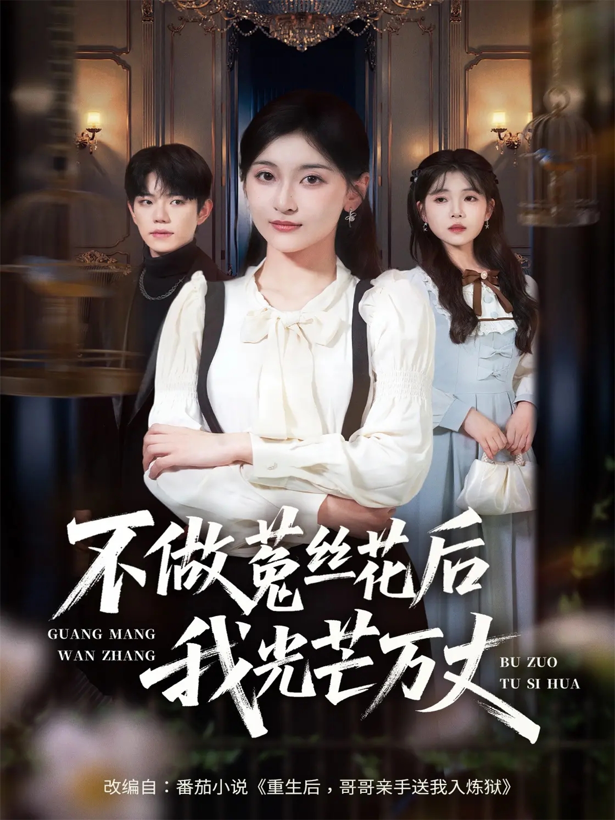不做菟丝花后我光芒万丈海报