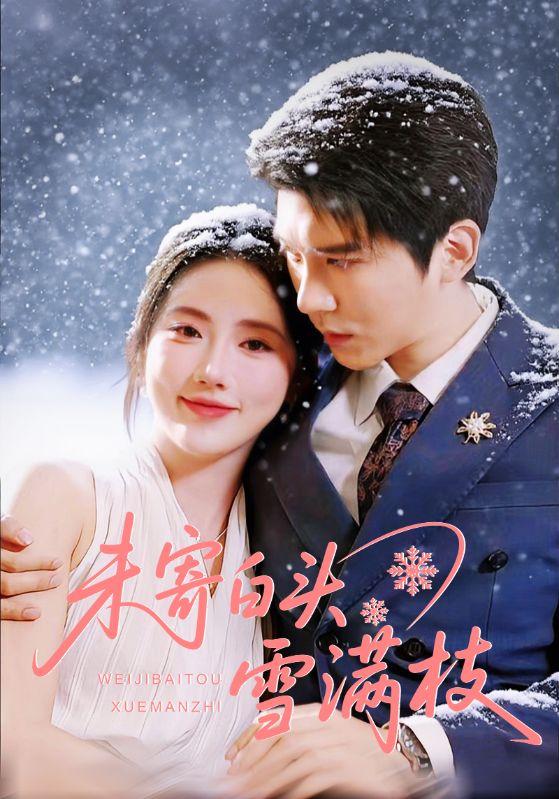 未寄白头雪满枝海报