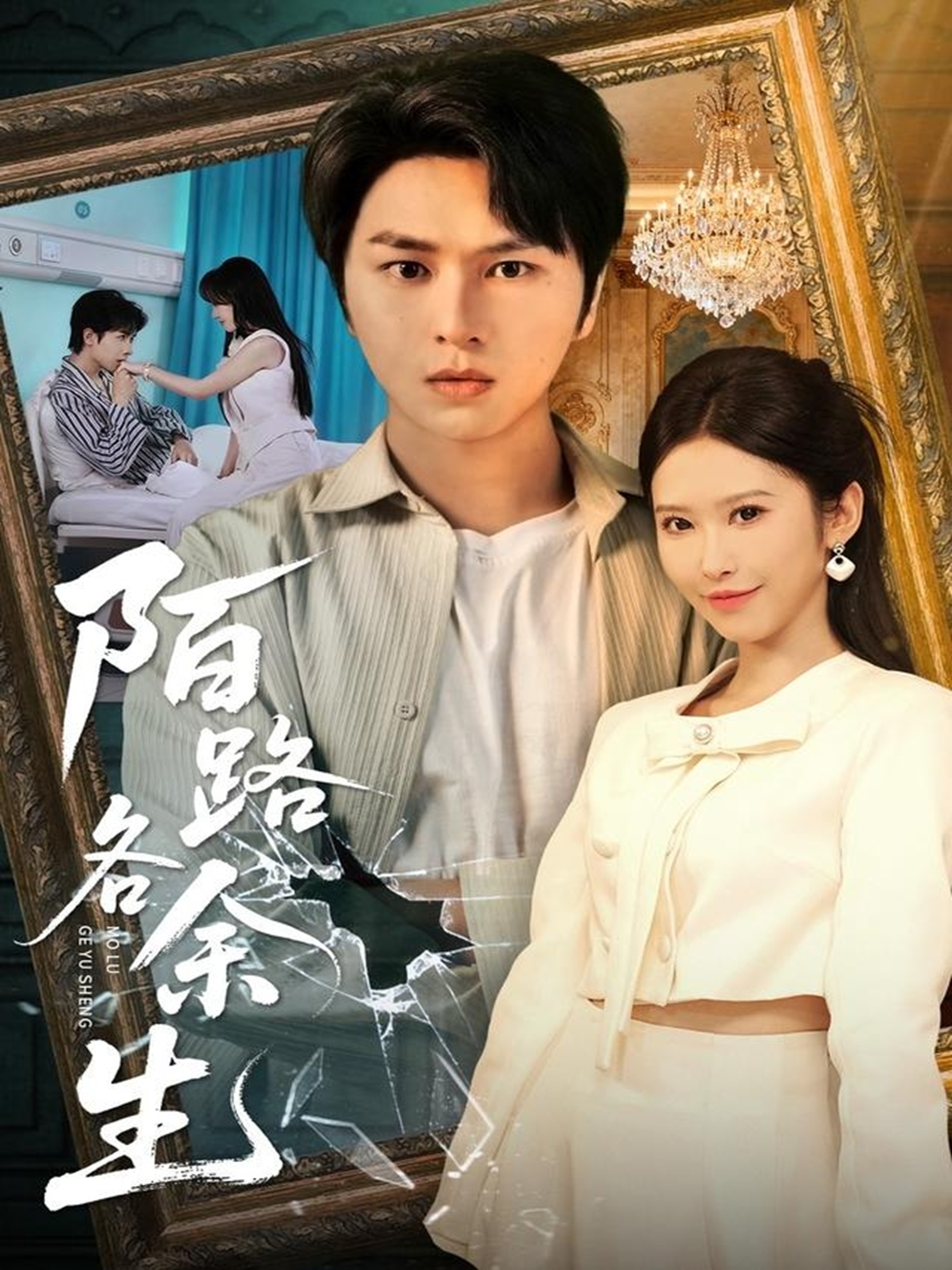 陌路各余生海报