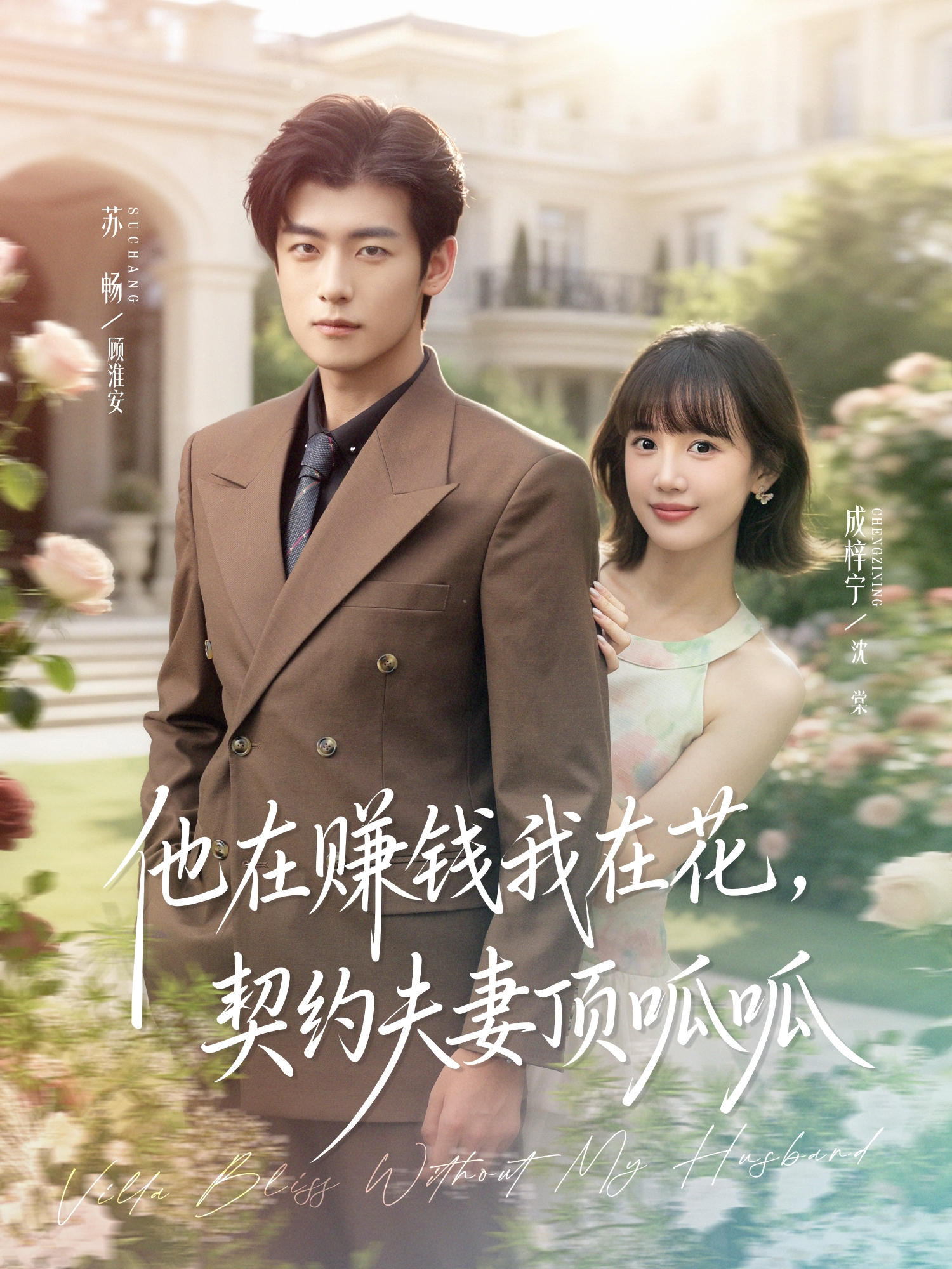 他在赚钱我在花，契约夫妻顶呱呱海报