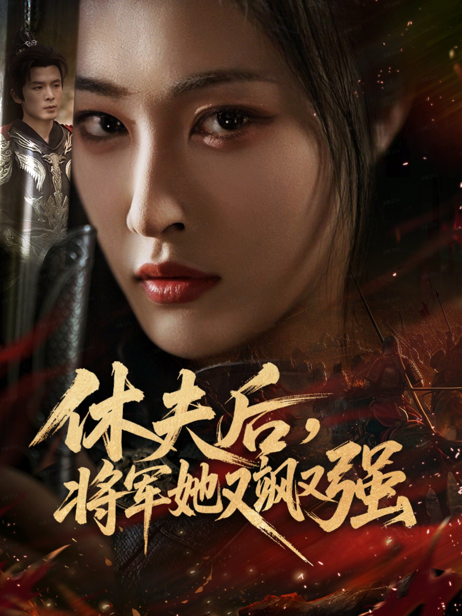 休夫后，将军她又飒又强海报