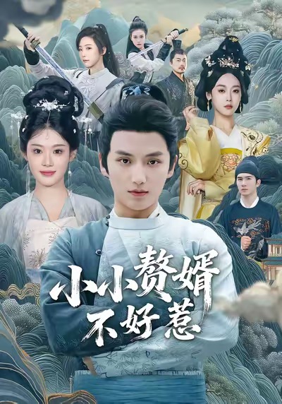 小小赘婿不好惹海报