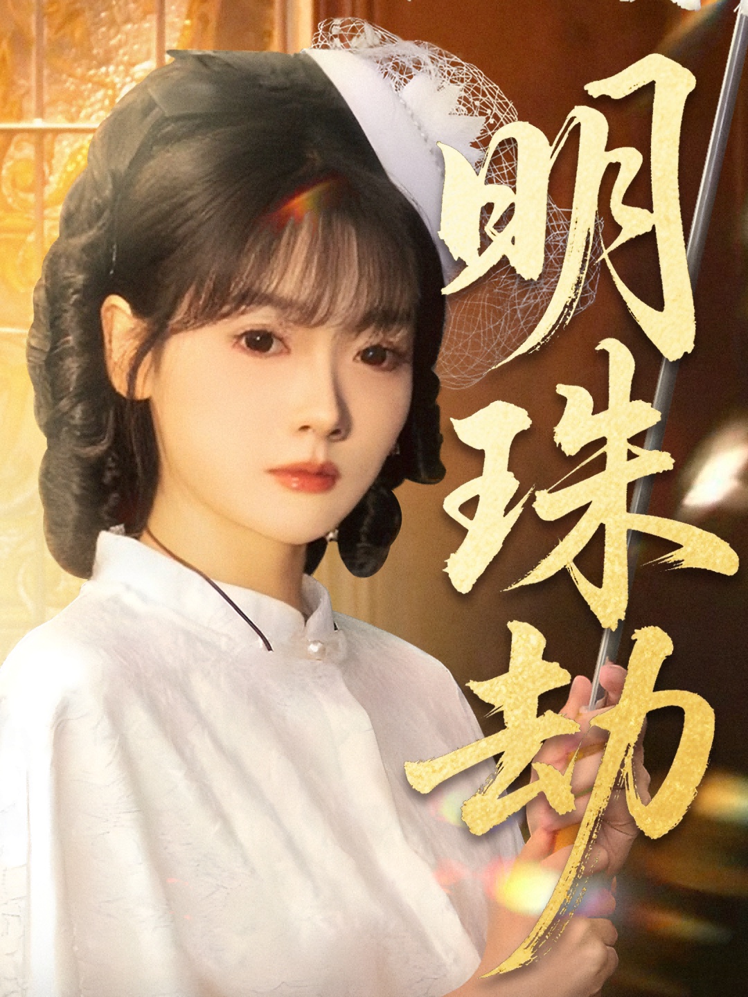 明珠劫海报