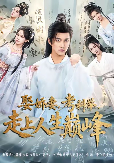 娶娇妻，考科举，走上人生巅峰海报