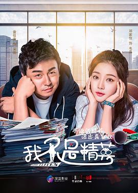 我不是精英[电影解说]海报