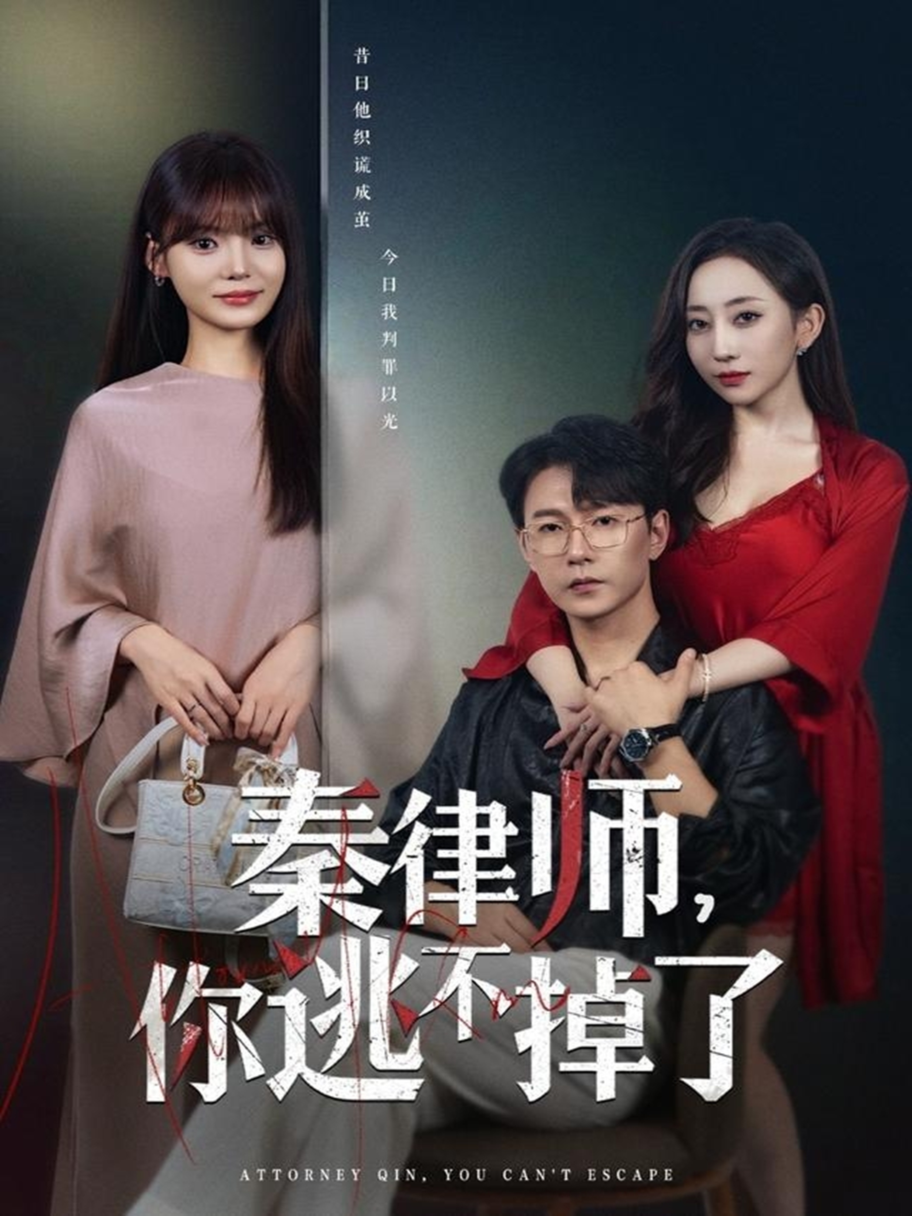 秦律师你逃不掉了海报