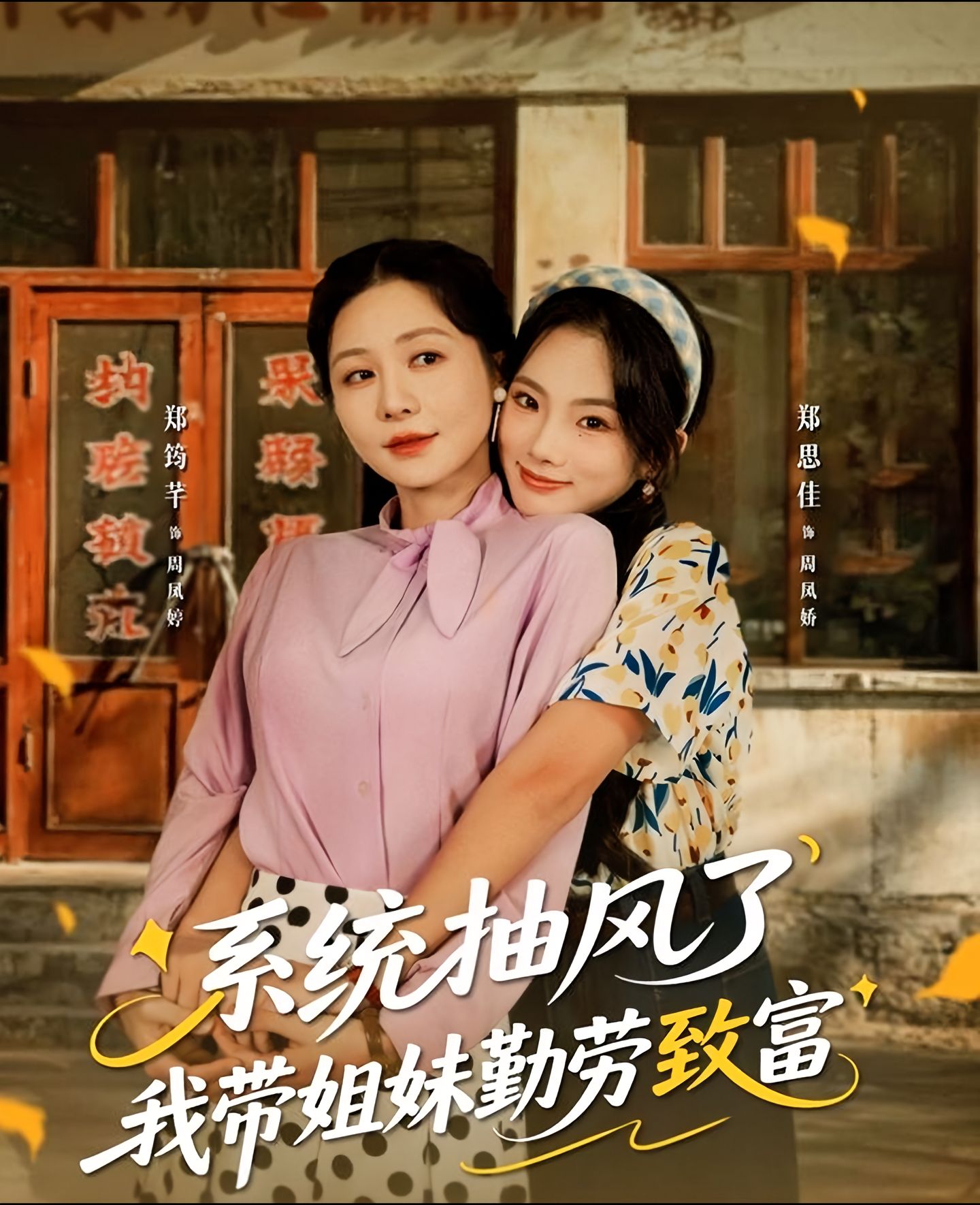 系统抽风了我带姐妹勤劳致富海报