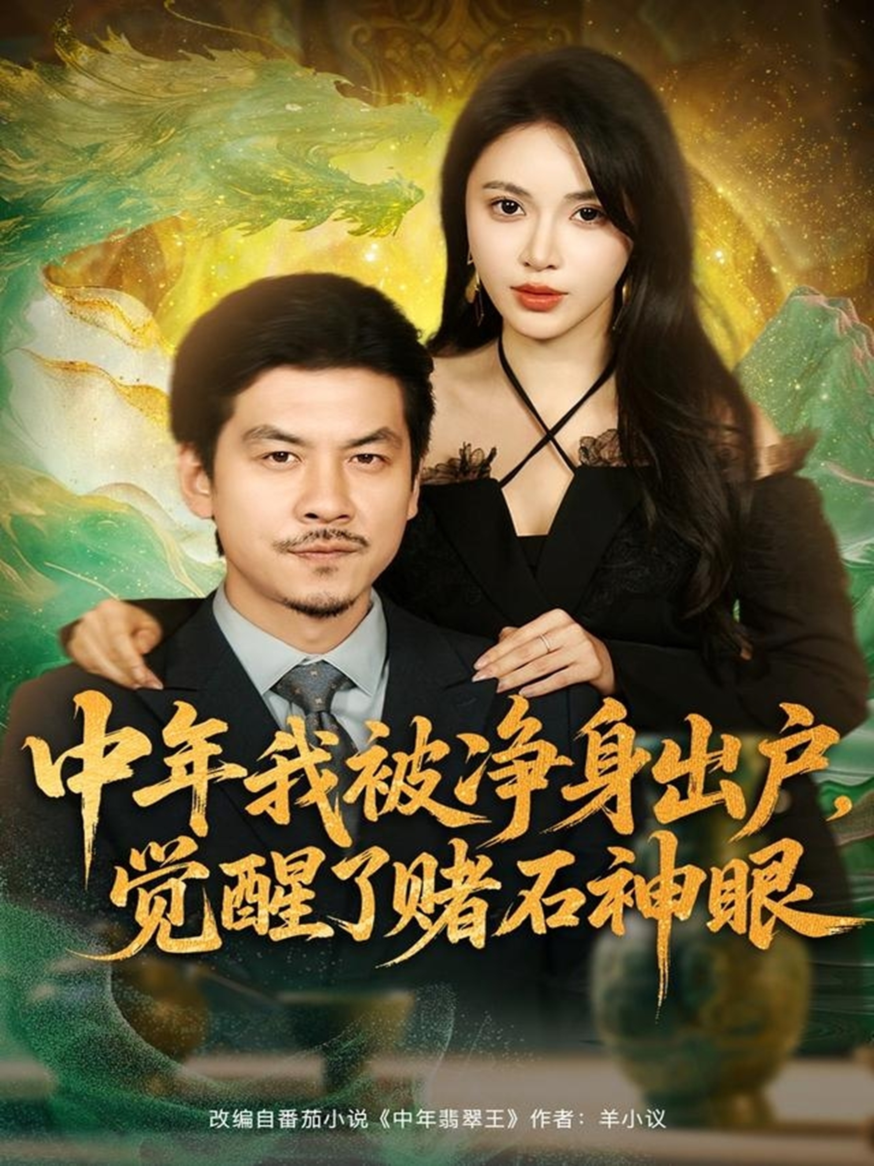 中年我被净身出户，觉醒了赌石神眼海报