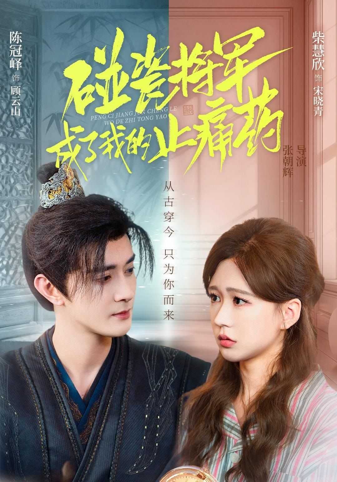 碰瓷将军成了我的止痛药海报